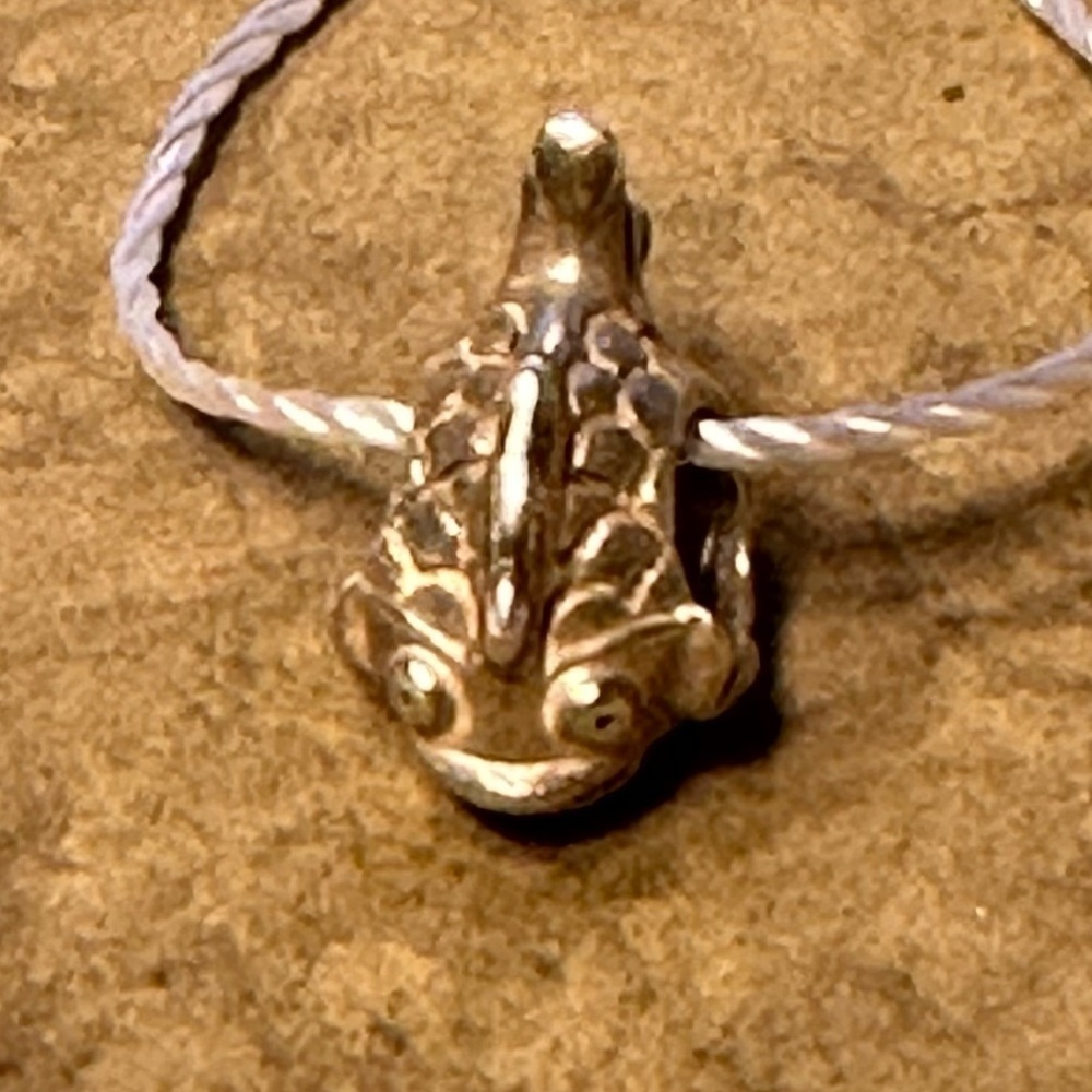 Pandora Fish Charm .925 Ale For Pandora Moments Bracelet